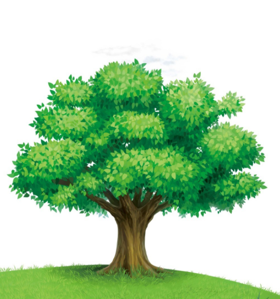 1622688963211714.png 111E54EE-F6DF-4a85-AD35-DCB1C47276C0.png